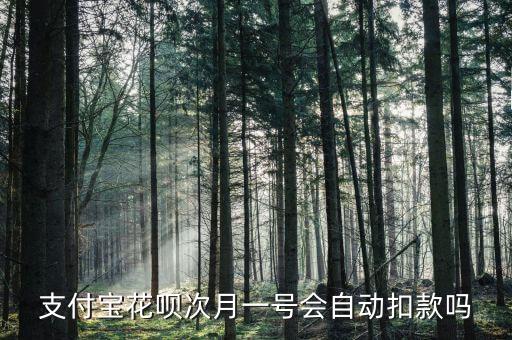 支付寶花唄次月一號(hào)會(huì)自動(dòng)扣款嗎