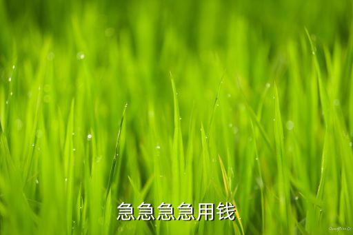急急急急用錢