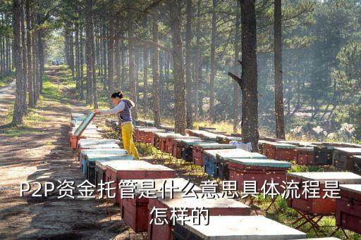 拍來貸托管是什么，拍來貸開通托管的支付密碼是什么