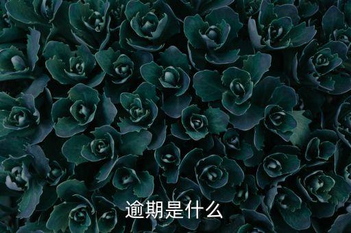 逾期是什么