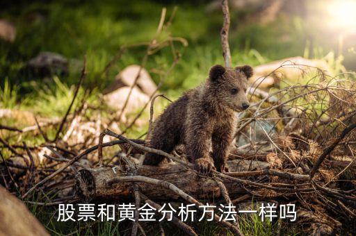 黃金分析 什么區(qū)別，黃金該怎樣辨別