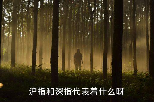 滬指深指是什么意思，上證指數(shù)和深證指數(shù)分別是什么意思