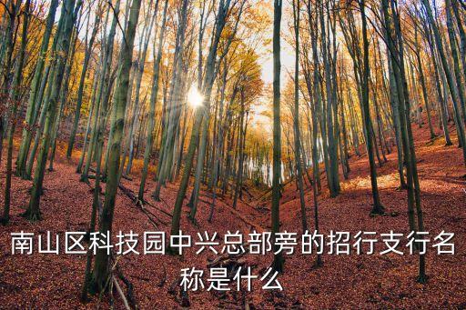 南山區(qū)科技園中興總部旁的招行支行名稱是什么