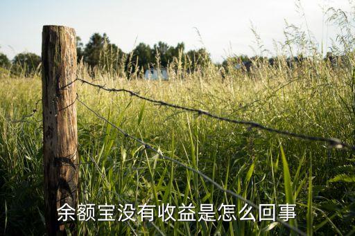 余額寶為什么沒收益，余額寶為什么沒有收益
