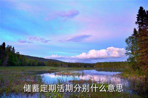 儲蓄定期活期分別什么意思