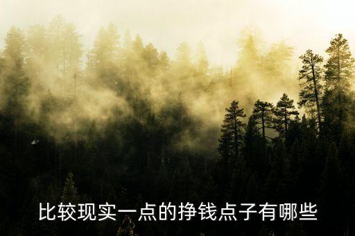 比較現(xiàn)實一點的掙錢點子有哪些