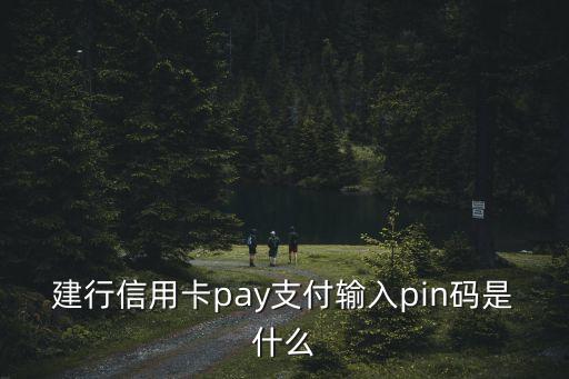 visa交易pin是什么意思，pin submit 什么意思