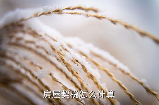 房屋契稅按什么計算器，房屋契稅怎么計算