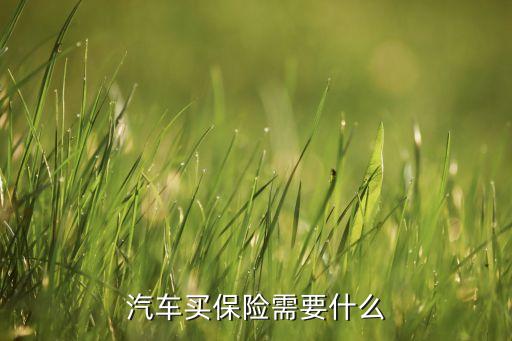汽車買保險需要什么