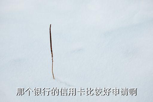 現(xiàn)在什么銀行信用卡好辦，那個銀行的信用卡比較好申請啊