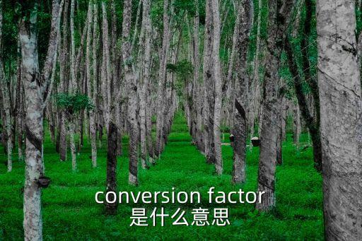 conversion factor是什么意思