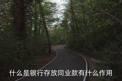 什么是銀行存放同業(yè)款有什么作用