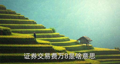 證券交易費(fèi)萬(wàn)8是啥意思
