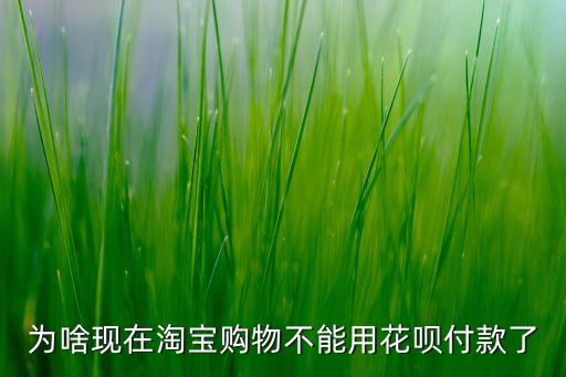 為啥現(xiàn)在淘寶購物不能用花唄付款了