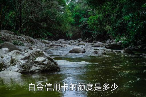 白金信用卡的額度是多少