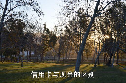 信用卡與貨幣的區(qū)別是什么，信用卡是不是貨幣