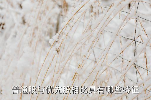 普通股的特征是什么，普通股票的普通股票的特征