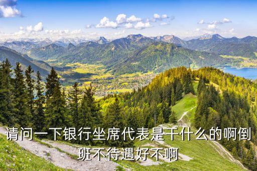 銀行做席是什么，請(qǐng)問(wèn)一下銀行坐席代表是干什么的啊倒班不待遇好不啊