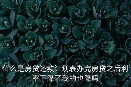 什么是房貸還款計(jì)劃表辦完房貸之后利率下降了我的也降嗎