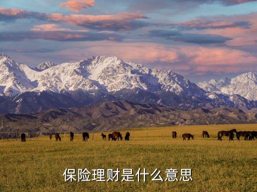 什么是保險理財，什么是保險理財