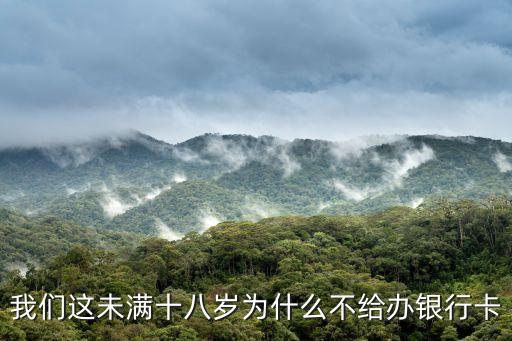 為什么未成年不能辦卡，為什么未滿十八歲不能在網上申請辦理銀行卡呢