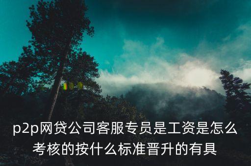 p2p對客服有什么要求，應(yīng)聘p2p的理財(cái)顧問要求有哪些