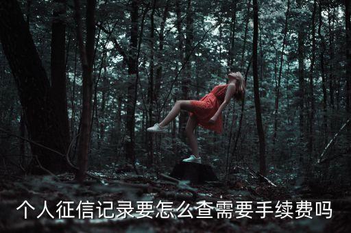 個(gè)人征信記錄要怎么查需要手續(xù)費(fèi)嗎