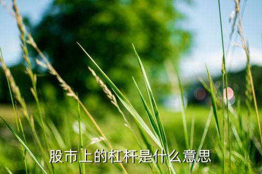 股市上的杠桿是什么意思