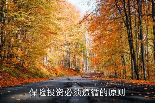 保險投資的原則是什么，保險投資必須遵循的原則