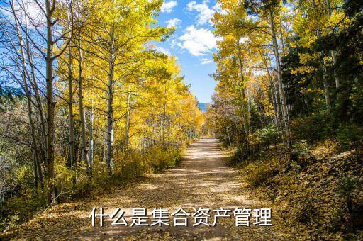 什么是集合資產(chǎn)管理