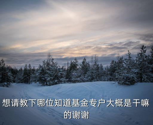 什么是基金專戶，什么是基金專戶