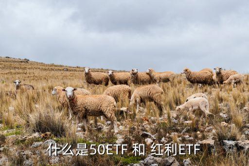 什么是50ETF 和 紅利ETF