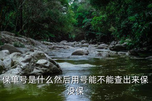 保單號是什么然后用號能不能查出來保沒保