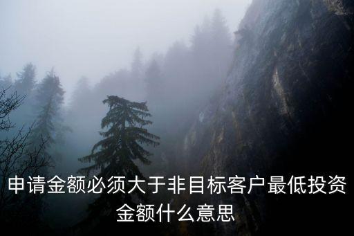 申請(qǐng)金額必須大于非目標(biāo)客戶最低投資金額什么意思