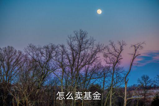 怎么賣基金