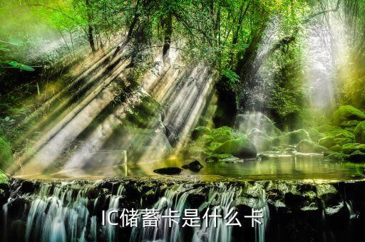 儲(chǔ)蓄卡是什么卡啊，IC儲(chǔ)蓄卡是什么卡