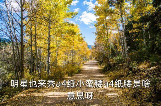 網(wǎng)匯貸是什么東西，明星也來秀a4紙小蠻腰a4紙腰是啥意思呀