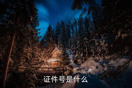 證件號是什么