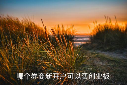 什么賬戶可以買創(chuàng)業(yè)板股票嗎，只有a股賬戶能購買中小板和創(chuàng)業(yè)板股票嗎