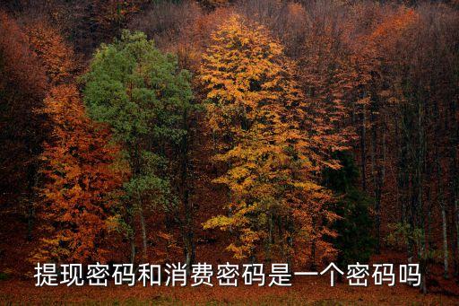 消費(fèi)和取現(xiàn)密碼是什么情況，什么是取現(xiàn)密碼