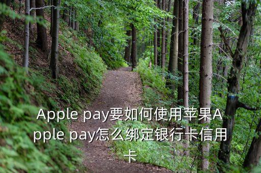 Apple pay要如何使用蘋果Apple pay怎么綁定銀行卡信用卡