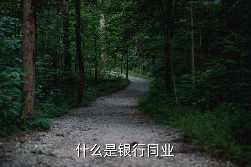 銀行同業(yè)業(yè)務(wù)包括什么意思，什么是銀行同業(yè)業(yè)務(wù)