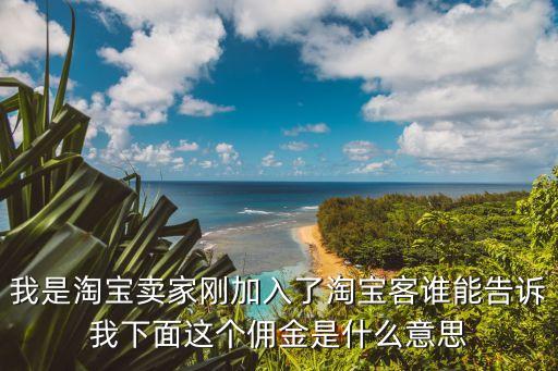 傭金是什么意思，傭金收入是什么意思