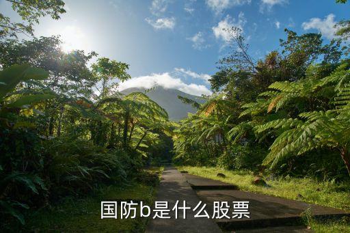國防b股票屬于什么類別，基金軍工b國防b互聯(lián)網(wǎng)b創(chuàng)業(yè)板b等是什么類型基金