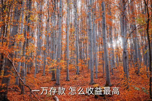 一萬存款 怎么收益最高