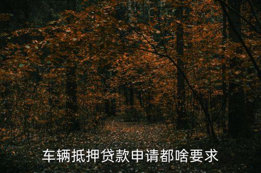 車輛抵押貸款申請(qǐng)都啥要求