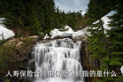 人壽保險保額什么意思，中國人壽里的保險金額是什么意思