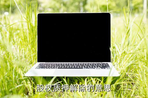 股權(quán)質(zhì)押解除的意思