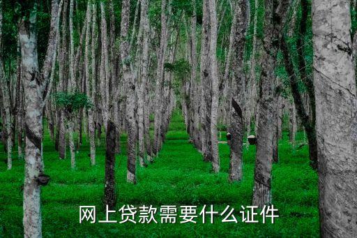 網(wǎng)上貸款需要什么證件