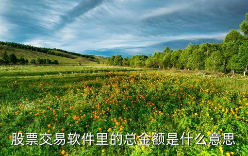 股票交易軟件里的總金額是什么意思